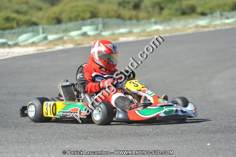 DSC (2738).JPG